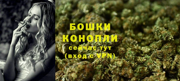 дмт Белокуриха
