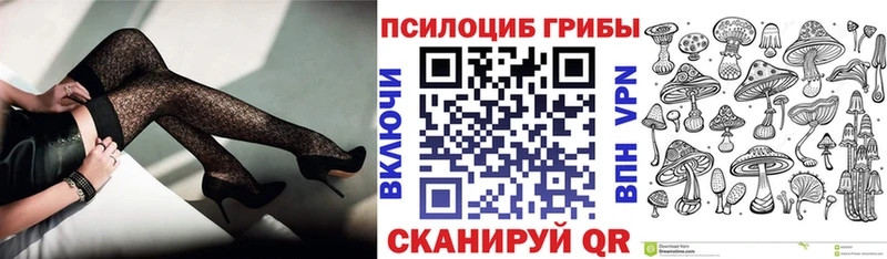 даркнет сайт  Пятигорск  Псилоцибиновые грибы MAGIC MUSHROOMS 